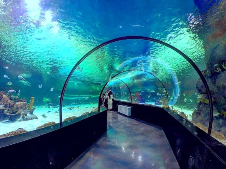 آکواریم کیش